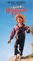 The Adventures of Huck Finn (1939)