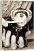 Box Canvas Print of Dental care from Mirror Photos