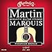 Martin M2100 }[` AR[XeBbNM^[