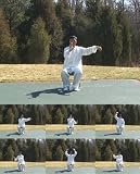 Dr. Chen's Tai Chi GongFa 001 for Wheelchiar people