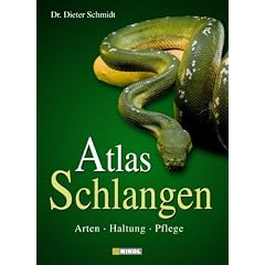 Schlangen: Arten, Haltung, Pflege