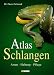 Schlangen: Arten, Haltung, Pflege