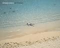 On the Beach