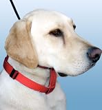 Illusion Collar (Black, Medium)