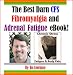 The Best Darn CFS, Fibromyalgia and Adrenal Fatigue eBook! The Best Darn CFS, Fibromyalgia and Adrenal Fatigue eBook!