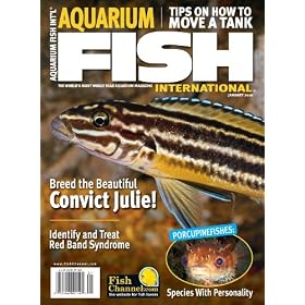 Aquarium Fish International (1-year)