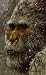In Pursuit of Bigfoot