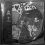 Split Picture Disc [Vinyl]