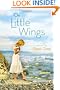 On Little Wings
