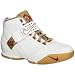Nike Zoom LeBron V Men's Basketball Shoes