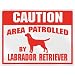 New  Caution : Area Patrolled By Labrador Retriever  Parking Sign Dog
