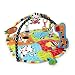 Bright Starts 9167 Start Your Senses Safari Activity Gym, Spots and Stripes