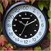 24 Hour Outdoor Clock (DS1067)