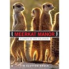 Meerkat Manor: Flower of the Kalahari by  Tim Clutton-Brock