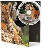 Tiger DVD Theme Card - Blank Greetings Card For Any Occasion