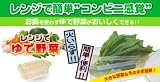 レンジでゆで野菜 大 PS-G63