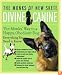 Divine Canine: The Monks' Way to a Happy, Obedient Dog