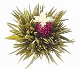 Teaposy Box of Six Butterfly Teaposies Blooming Flowering Silver Needled White Tea