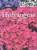 Hydrangeas