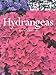 Hydrangeas
