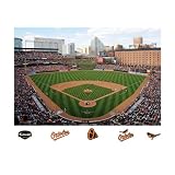 MLB Baltimore Orioles Inside Oriole Park at Camden Yards Mural Wall Graphic