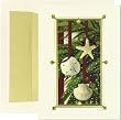 Shell Ornaments Tropical Christmas Cards -