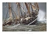 Le Siecle Du Belem by Philip Plisson 42.5 x 28.5  Canvas Art