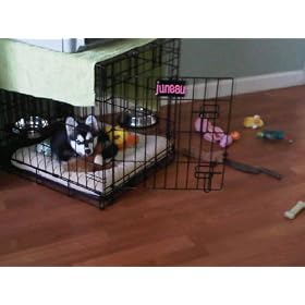 Midwest Life Stages Single-Door Folding Metal Dog Crate