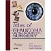 Search : Atlas of Glaucoma Surgery