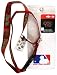 Arizona Diamondbacks Lanyard with Ticket Holder and Logo Pin