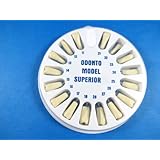 Typodont Replacement Teeth Upper With Screw 11-28 Model 860 DELTA PLUS