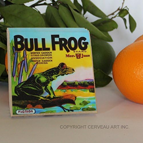 Frog Coasters - Bull Frog Coasters - Drink Coasters - Bar Coasters - Stone Coasters - Set of 4