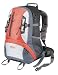 Gelert Traverse 28L Daysac (Grey/Firecracker)