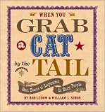 When You Grab a Cat by the Tail: Short Bursts of Inspiration for Busy People