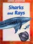 Sharks and Rays (Junior Adventure)