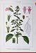 Flowers Sturms 1903 Falscher Leonurus Cardiaca Colour