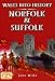 Walks into History Norfolk and Suffolk (Historic Walks)