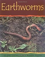 Earthworms (Minibeasts)
