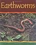 Earthworms-PB (Minibeasts)