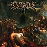 Wet Sound of Flesh on Concrete