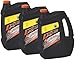 Sea-Doo OEM Can-Am,Sea-Doo Xps 4 Stroke Summer Grade Engine Oil Case Of 3 Gallons, 293600122Ex3-3