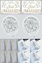 Just Married car decorkit