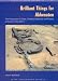 Search Our Specialty Mall : Brilliant Things for Akhenaten: The Production of Glass, Vitreous Materials and Pottery at Amarna Site 0.45.1 (Excavation Memoirs) (Excavation Memoirs)