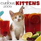 Curious Kittens 2009 Wall Calendar 12 X 12