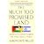 The Much Too Promised Land: America's Elusive Search for Arab-Israeli Peace