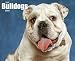 Just Bulldogs 2009 Calendar (Just)