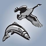 Field & Stream Online