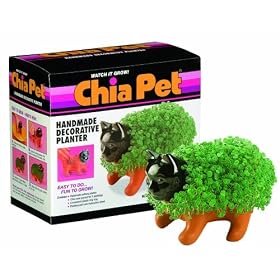 Chia Kitten