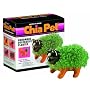 Chia Kitten