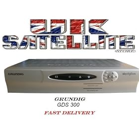 Grundig GDS300 Sky Box Digibox Satellite Digital Receiver Silver (Unbeatables)